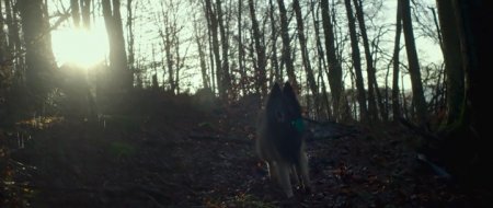 Шелли (2016)