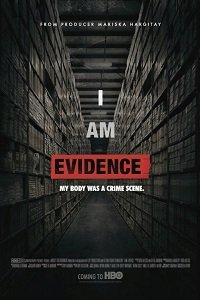 Фильм Я улика (2017)
