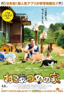 Фильм Дом кошек (2017)