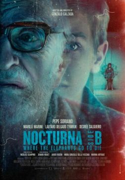 Фильм Ноктюрн: Куда слоны идут умирать (2021)