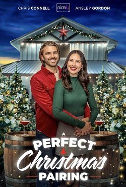 Фильм Идеальное рождественское сочетание (2023)