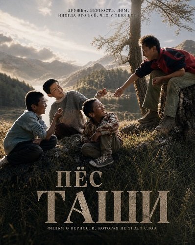Фильм Пёс Таши (2024)